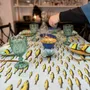 Nappes - Nappe Sardine - ZOOH