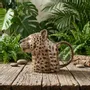 Carafes - Jugs - QUAIL DESIGNS EUROPE BV
