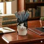 Cadeaux - Pots à stylos. - QUAIL DESIGNS EUROPE BV