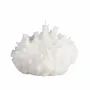 Candles - SIR LANKESTER CORAL COLLECTION - CERABELLA SL