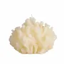 Candles - SIR LANKESTER CORAL COLLECTION - CERABELLA SL