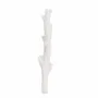 Candles - SIR LANKESTER CORAL CANDLEHOLDER COLLECTION - CERABELLA SL