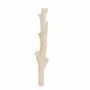 Candles - SIR LANKESTER CORAL CANDLEHOLDER COLLECTION - CERABELLA SL