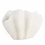 Bougies - SIR LANKESTER SHELL - CERABELLA SL