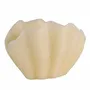 Bougies - SIR LANKESTER SHELL - CERABELLA SL