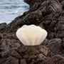 Bougies - SIR LANKESTER SHELL - CERABELLA SL