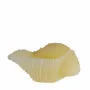 Bougies - SIR LANKESTER CARGOL L - CERABELLA SL
