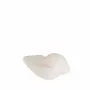 Bougies - SIR LANKESTER CARGOL S - CERABELLA SL