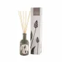 Candles - FLORA SILVESTRIS CASCALVEL PLANTAGO LANCEOLATA COLLECTION - CERABELLA SL