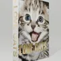Objets de décoration - Love cats - EDITIONS FLORENTIN