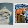 Objets de décoration - Love cats - EDITIONS FLORENTIN