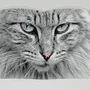 Objets de décoration - Love cats - EDITIONS FLORENTIN