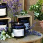 Candles - APOTHECARY SAGE & MINT COLLECTION - CERABELLA SL