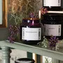 Candles - APOTHECARY SAGE & MINT COLLECTION - CERABELLA SL
