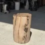 Other tables - Brown and black petrified wood side table H35 D27 - 3333 - OFFICE OBJETS