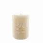 Bougies - BOTANICS BASIL - CERABELLA SL