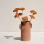 Vases - Bubble Vase - CLAYCRAFT