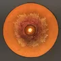 Ceiling lights - Globo Cultivating Light - MYCEODESIGN