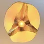Ceiling lights - Chapeau Cultivating Light - MYCEODESIGN
