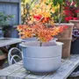 Pots de fleurs - LINEA No 2 Medium - KORBO