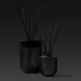 Scent diffusers - Smith & Co. Scented Reed Diffuser - THE AROMATHERAPY CO.
