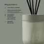 Scent diffusers - Smith & Co. Scented Reed Diffuser - THE AROMATHERAPY CO.