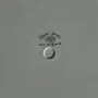 Plats et saladiers - Plat circulaire Elysian Garden Porcelaine Apilco France Ronald D30 - OFFICE OBJETS