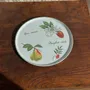 Plats et saladiers - Plat circulaire Elysian Garden Porcelaine Apilco France Ronald D30 - OFFICE OBJETS