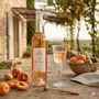 Delicatessen - Peach Apricot Aperitif 50 cl - CATRICE GOURMET