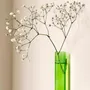 Vases - Soliflore XL - WALLEAF