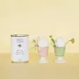 Objets de décoration - Kit à semer "Leçon du jour" - MAUVAISES GRAINES