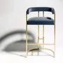 Stools for hospitalities & contracts - Bar Stool JULIUS Frame Stainless Steel, Seat Fabric COM/COL option - DUISTT