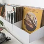 Autres décorations murales - Étagère vinyle - Rangement vinyle 33 tours - Lot de 2 - TEEBOOKS
