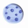 Everyday plates - Aqua Dot Dessert Plate - LALI DESIGN STUDIO