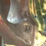 Céramique - Cruche en Céramique Sculptée - WOJCIECH DZIENNIAK ART