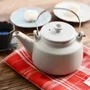 Tea and coffee accessories - Srilanka teapot - MARUMITSU POTERIE