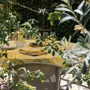 Table linen - Rialto tablecloth - lime - BEAUVILLÉ