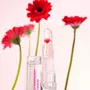 Beauty products - Lip collection - INUWET