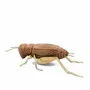 Objets design - The singing of the Cricket - Decorative, Ceramic - LABORATÓRIO D'ESTÓRIAS