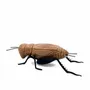 Objets design - The singing of the Cricket - Decorative, Ceramic - LABORATÓRIO D'ESTÓRIAS