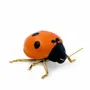 Objets design - Décoratif, Céramique - Coccinelle, voler, voler - LABORATÓRIO D'ESTÓRIAS