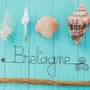 Other wall decoration - Wire Wall Decoration\" Brittany\” - to pin - BIJOUX DE MUR