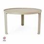 Tables basses - TABLE BASSE EN ACIER JADE - DECO-GEM