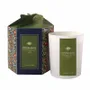 Candles - COTTAGE Winter Glow Collection - CERABELLA SL