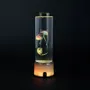 Decorative objects - MEDUSA Lamp - SEYNAVE / FRENCH TENDANCE