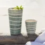 Mugs - Aura Sage Tall Tumbler - LALI DESIGN STUDIO