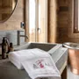 Other bath linens - Mountain gondola lift guest towel - VAGABONDE INTERNATIONAL