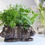Food storage - Tri Planter - QUAIL DESIGNS EUROPE BV