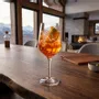 Verres - Collection verre montagne bouquetin - VAGABONDE INTERNATIONAL
