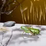 Design objects - The calm of the grasshopper - Decorative, ceramic - LABORATÓRIO D'ESTÓRIAS